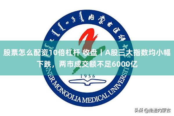 股票怎么配资10倍杠杆 收盘丨A股三大指数均小幅下跌，两市成交额不足6000亿