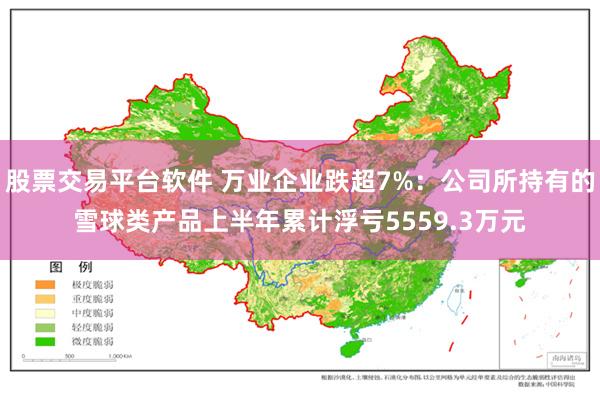 股票交易平台软件 万业企业跌超7%：公司所持有的雪球类产品上半年累计浮亏5559.3万元