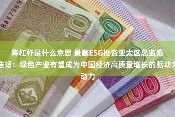 降杠杆是什么意思 景顺ESG投资亚太区总监陈浩扬：绿色产业有望成为中国经济高质量增长的驱动力