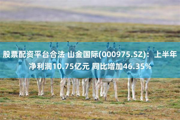 股票配资平台合法 山金国际(000975.SZ)：上半年净利润10.75亿元 同比增加46.35%