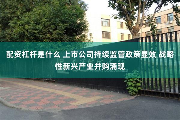 配资杠杆是什么 上市公司持续监管政策显效 战略性新兴产业并购涌现