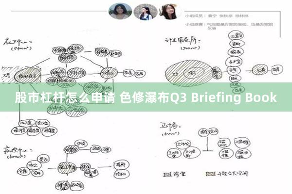 股市杠杆怎么申请 色修瀑布Q3 Briefing Book