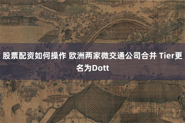 股票配资如何操作 欧洲两家微交通公司合并 Tier更名为Dott