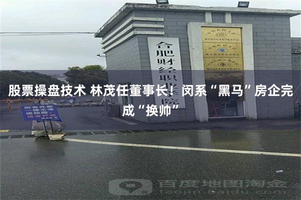 股票操盘技术 林茂任董事长！闵系“黑马”房企完成“换帅”