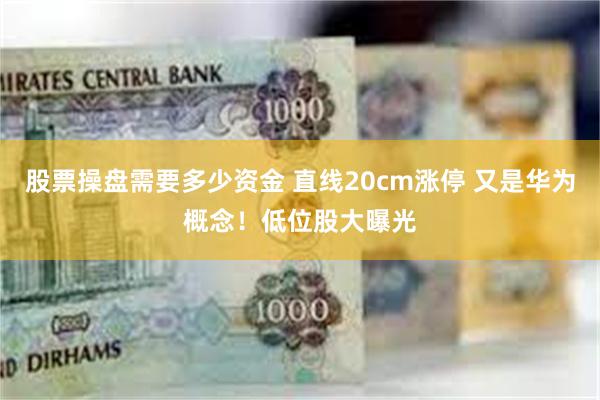 股票操盘需要多少资金 直线20cm涨停 又是华为概念！低位股大曝光