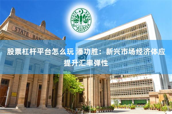 股票杠杆平台怎么玩 潘功胜：新兴市场经济体应提升汇率弹性