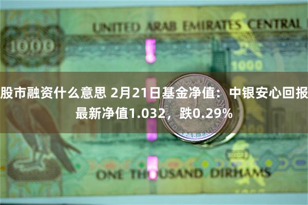 股市融资什么意思 2月21日基金净值：中银安心回报最新净值1.032，跌0.29%