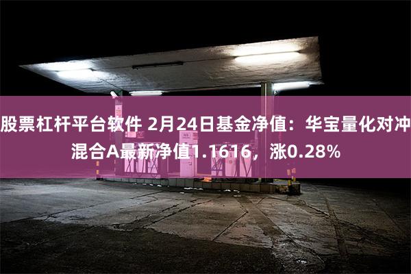 股票杠杆平台软件 2月24日基金净值：华宝量化对冲混合A最新净值1.1616，涨0.28%