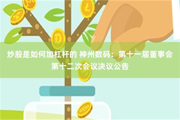 炒股是如何加杠杆的 神州数码：第十一届董事会第十二次会议决议公告